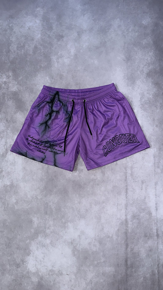 All the Energy Mesh Shorts In Purple