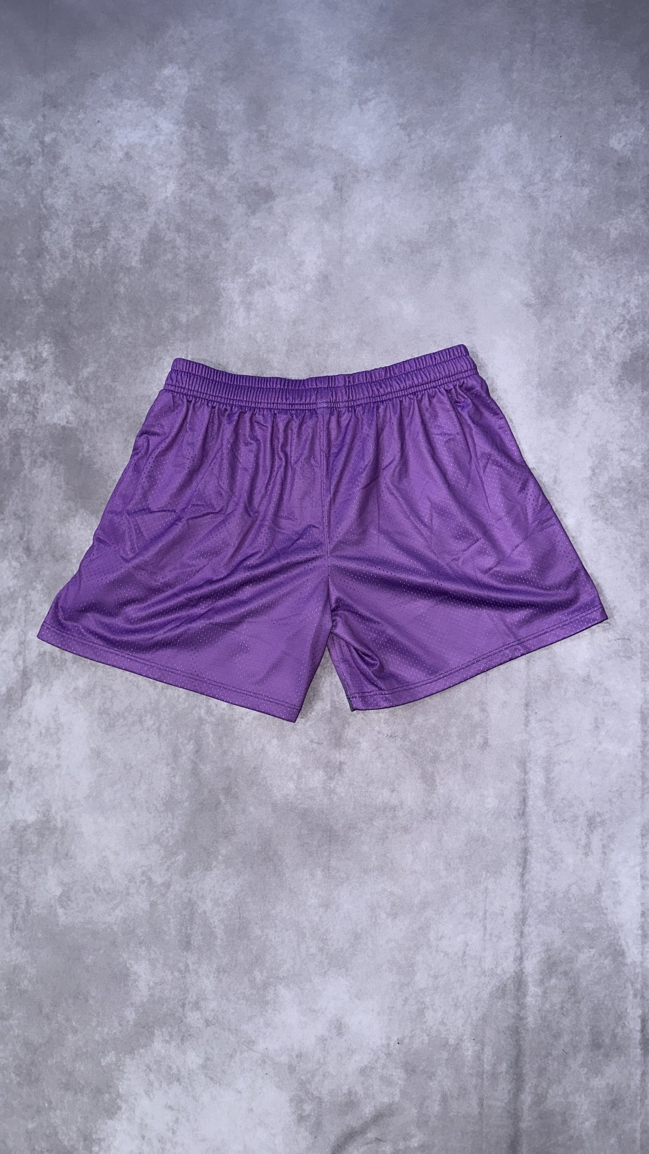 All the Energy Mesh Shorts In Purple