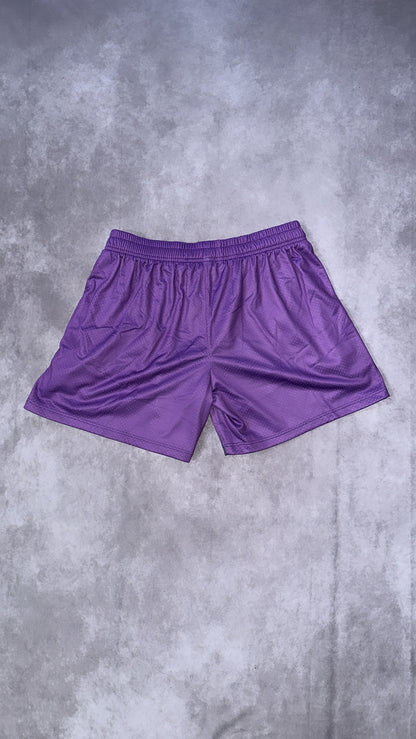 All the Energy Mesh Shorts In Purple